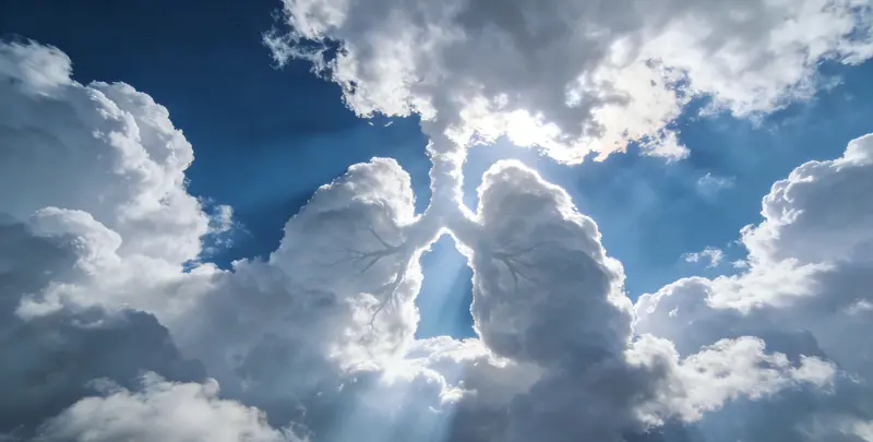 洛阳肺癌11基因检测组织版图片1