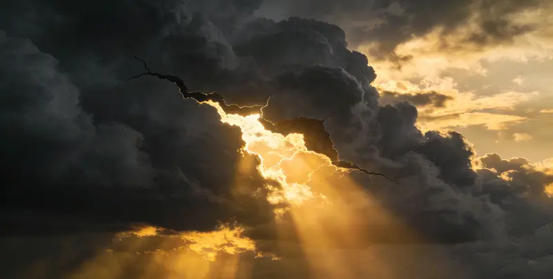 洛阳肺癌靶向120基因检测（组织）图片1