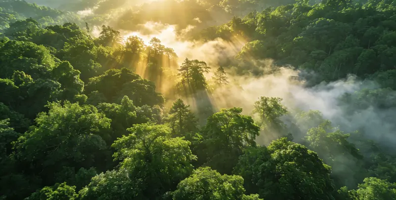 洛阳肺癌119基因检测图片1