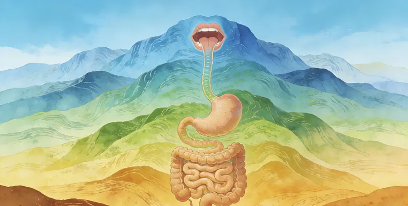 胃肠肿瘤120基因检测图2